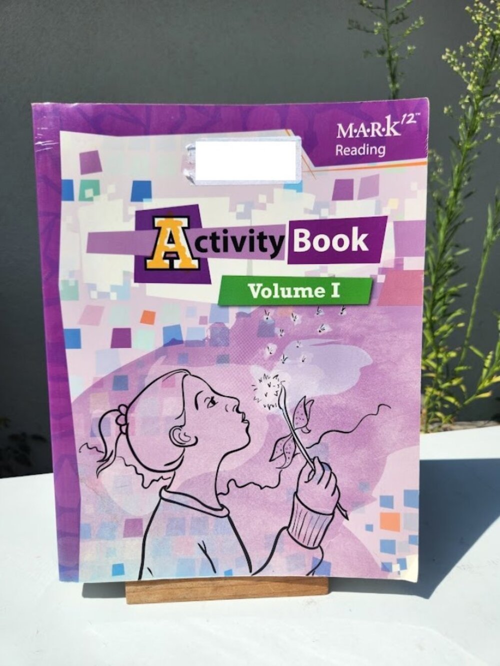Mark12 Reading Activity Book Volume 1 Paperback Literature Curriculum Workbook S